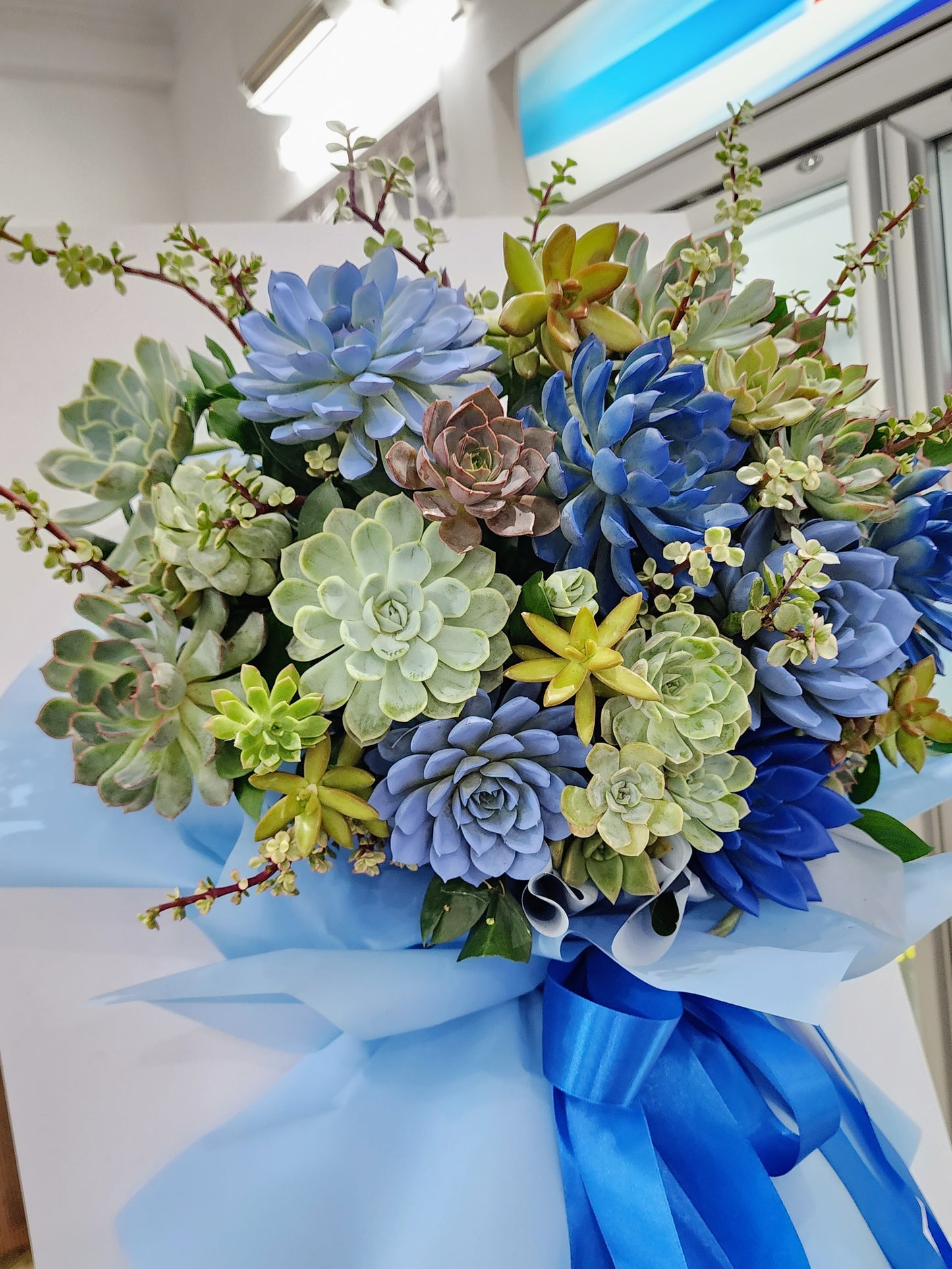 Succulent Sign Arrangements Succulent Welcome Sign