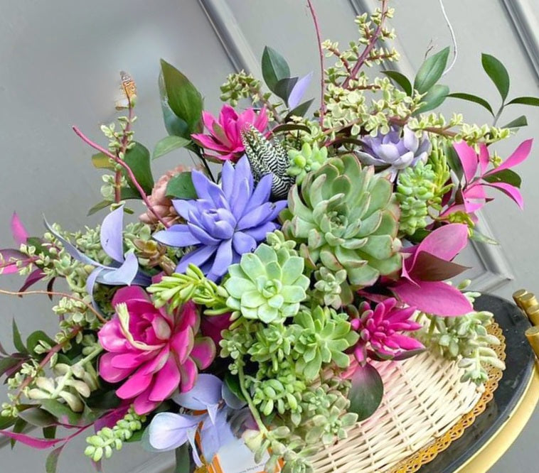 Unique Succulent Arrangements Succulent Basket