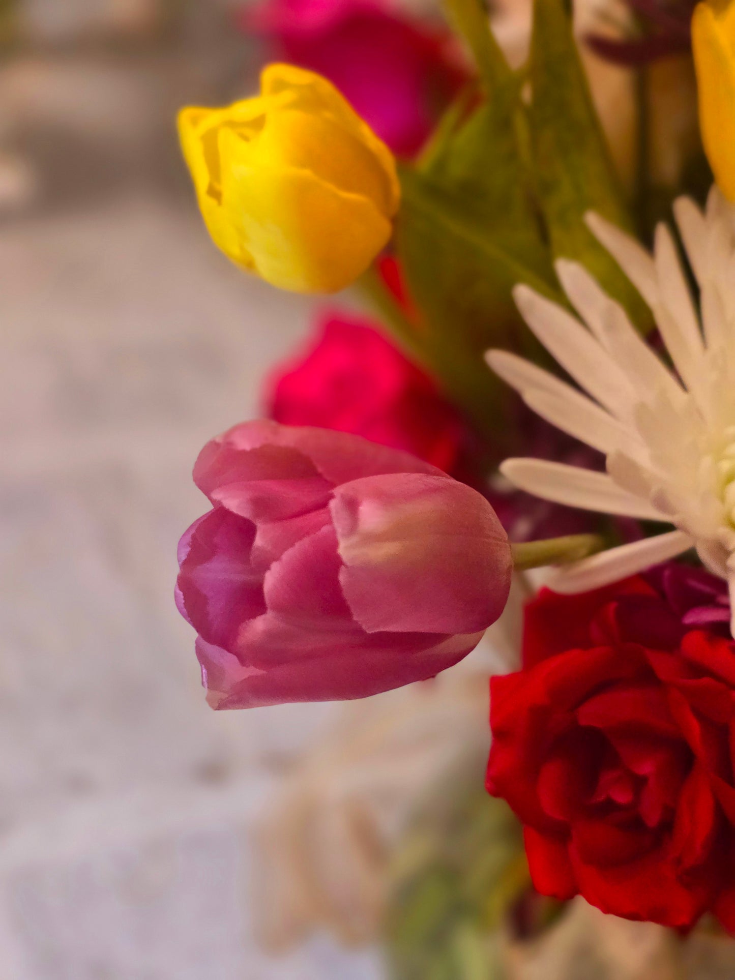 Tulips Flowers mix