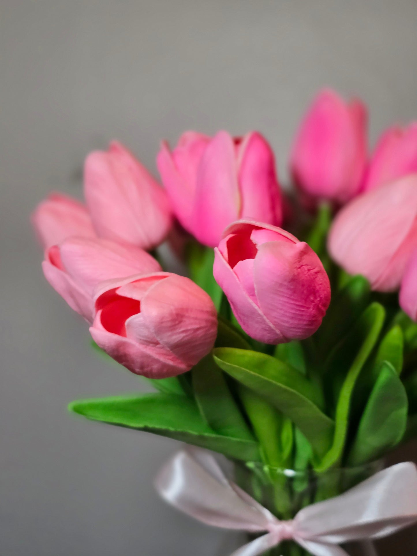 Pink Tulips Flowers