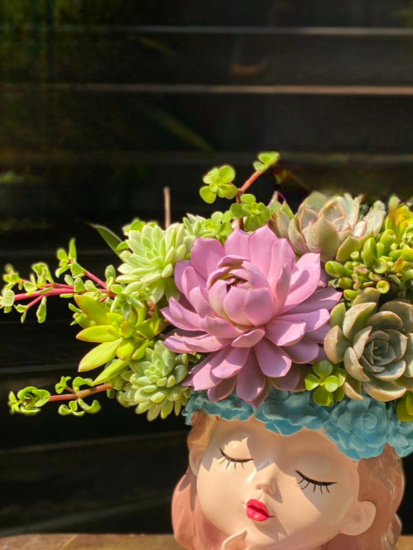 Cut Succulent Flowers