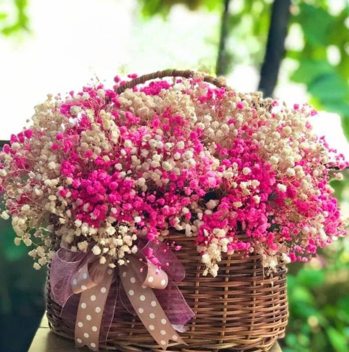 Baby's Breath In Basket