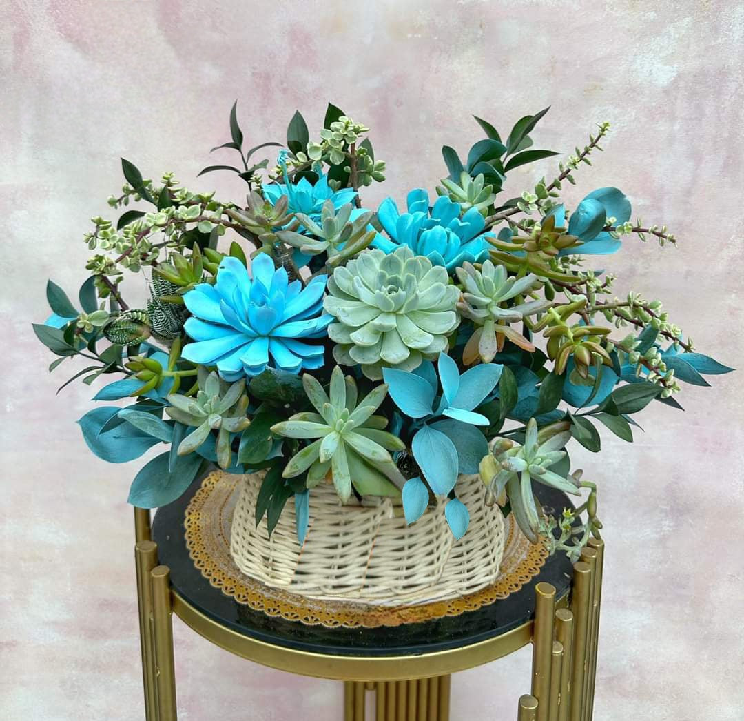 planting succulents in hanging baskets Hanging Basket For Succulents Blue Flower Basket – Queen City Arrangements