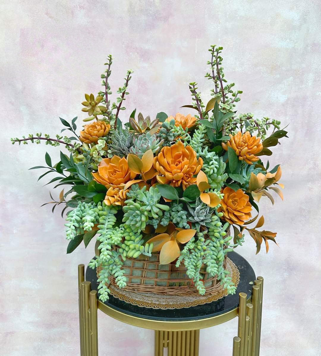 hanging succulent basket Succulent Hanging Basket Beauty Succulent Basket – Queen City Arrangements
