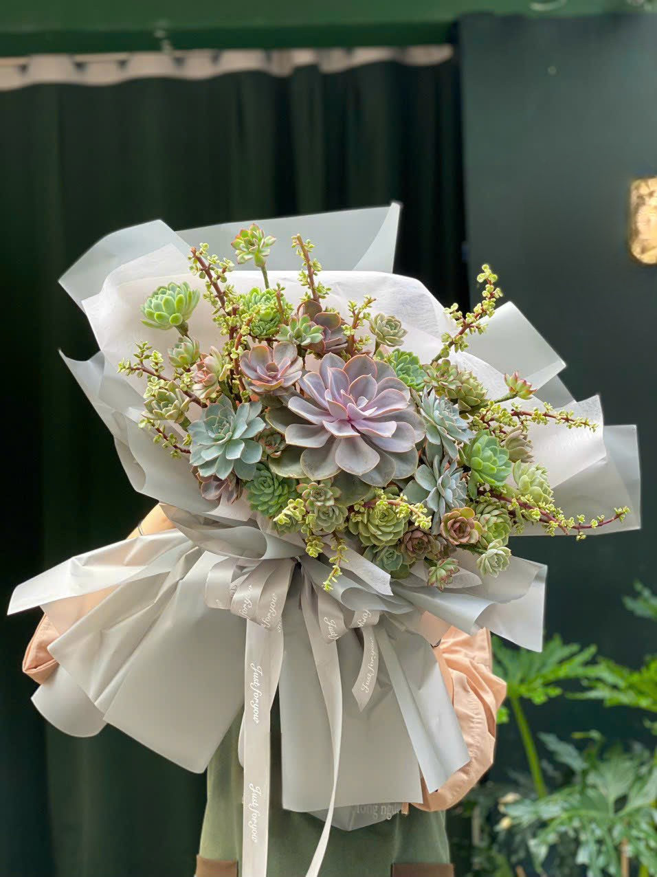 Special Succulent Bouquet Luxurious Succulent Bouquet