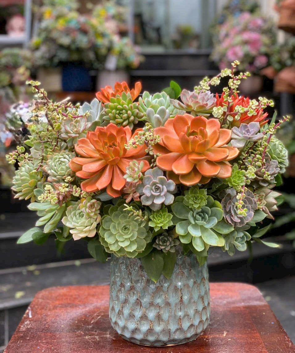 Succulent Flowers Arrangements in Vase