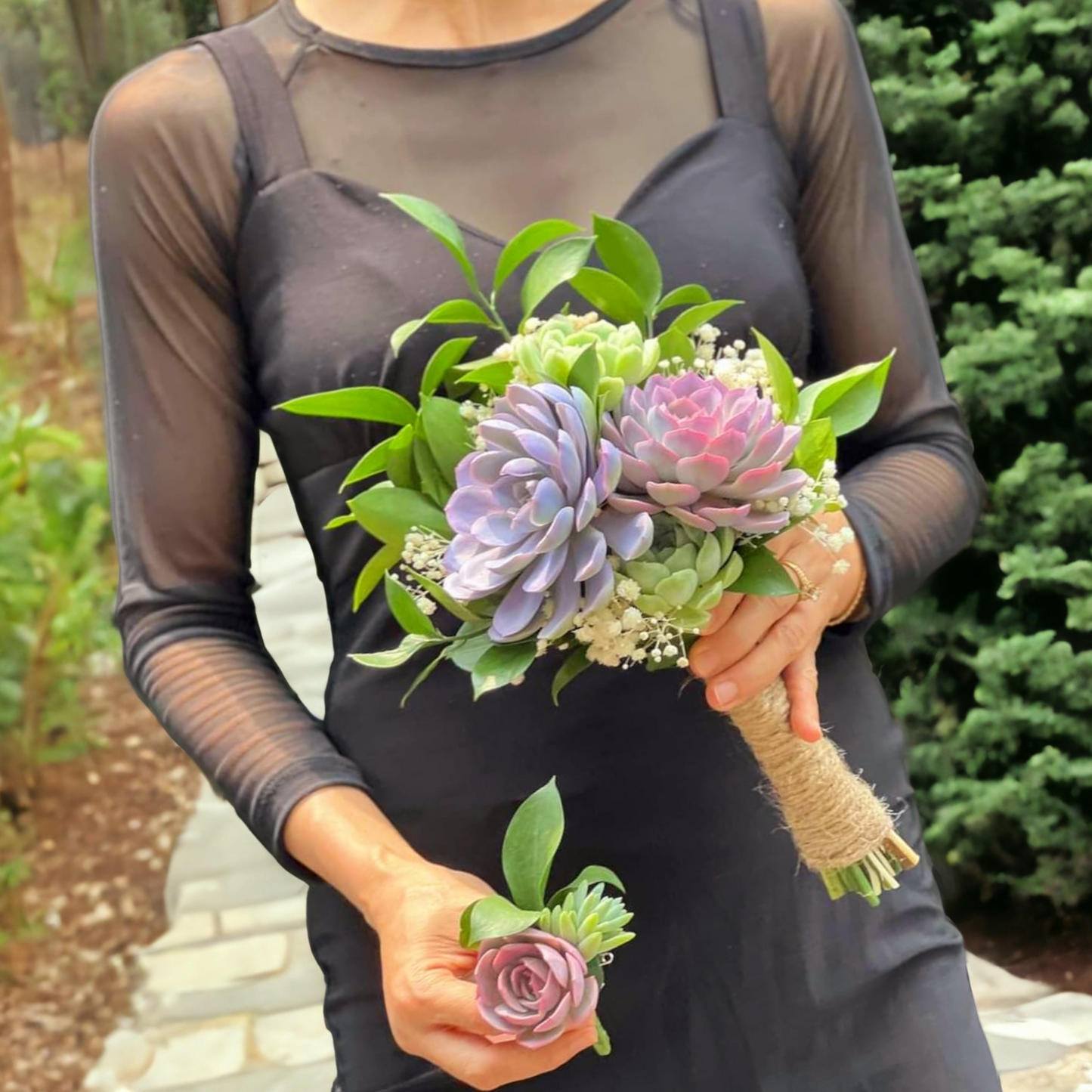 Succulent And Baby's Breath