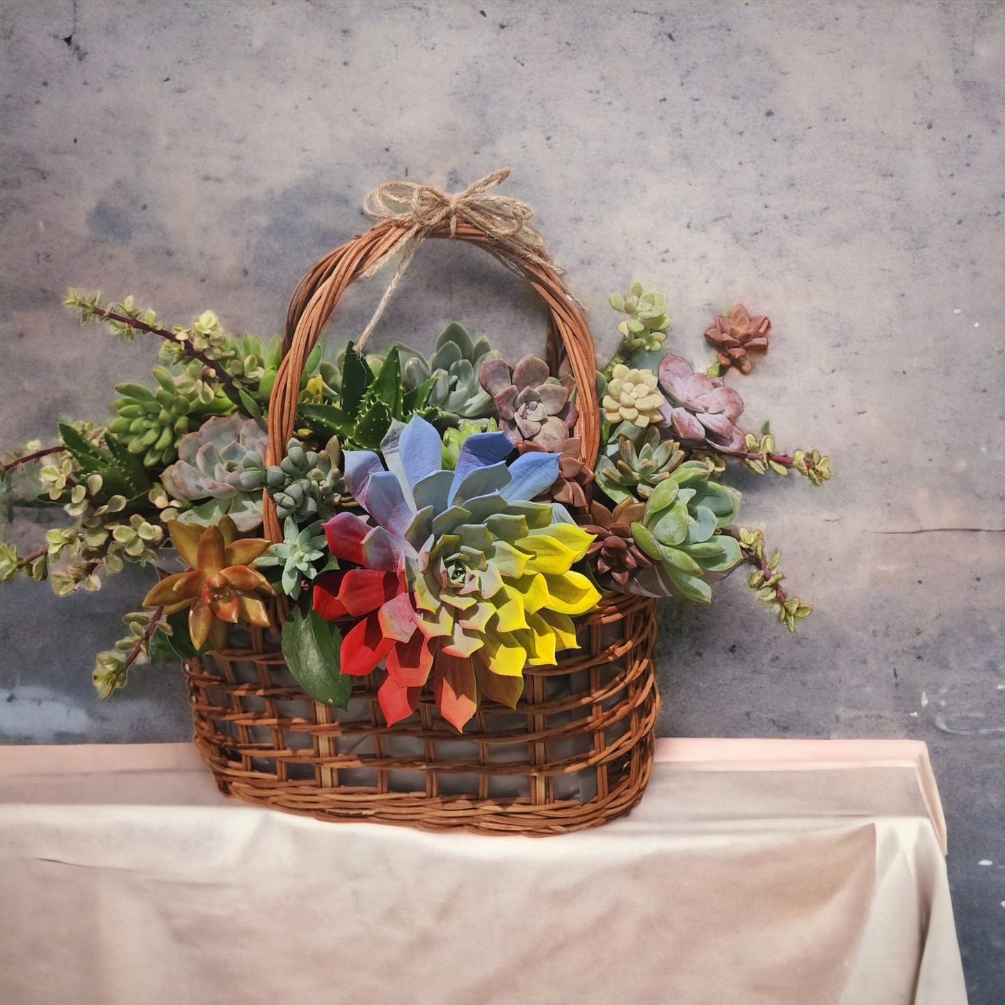 Succulents In A Basket Rainbow Succulent Basket