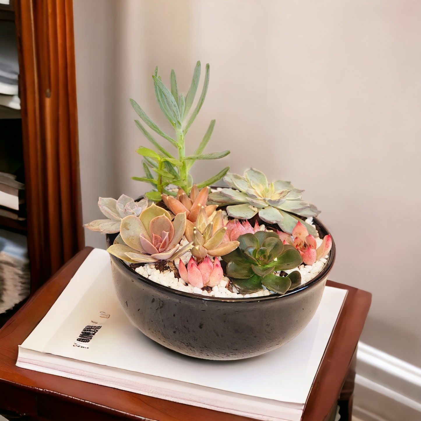 Live Succulent Arrangements