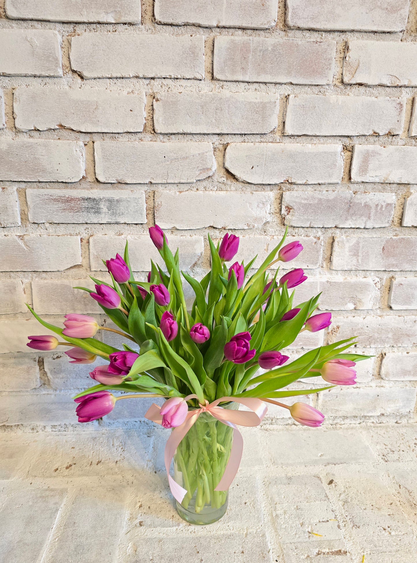 Fresh Tulips Flowers