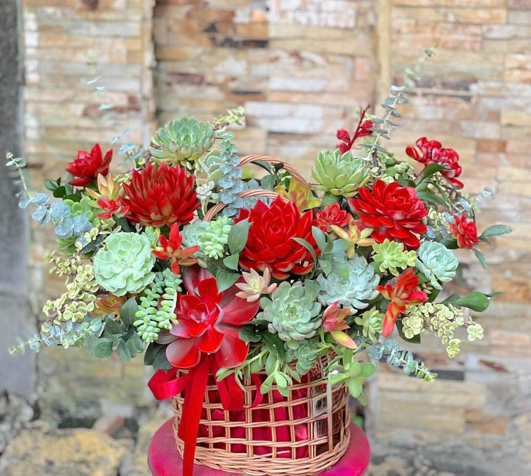 hanging baskets with succulents Succulents In A basket