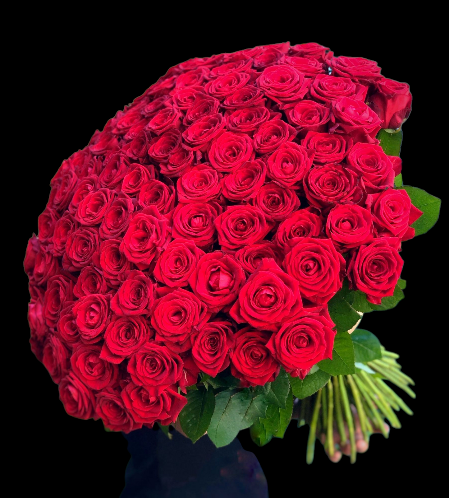 100 Fresh Cut Rose Bouquet