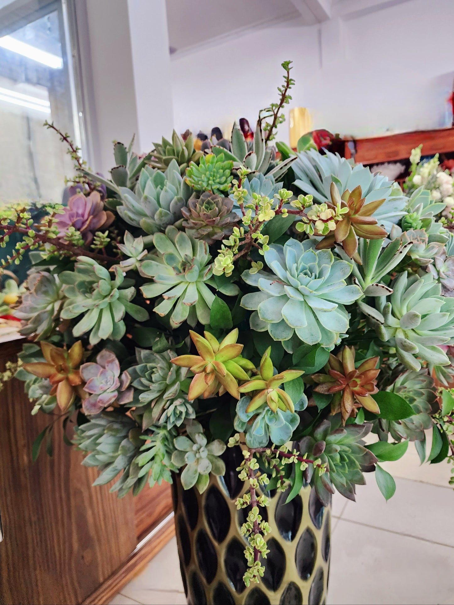 Large Succulent Arrangements Decorative Flower Pots