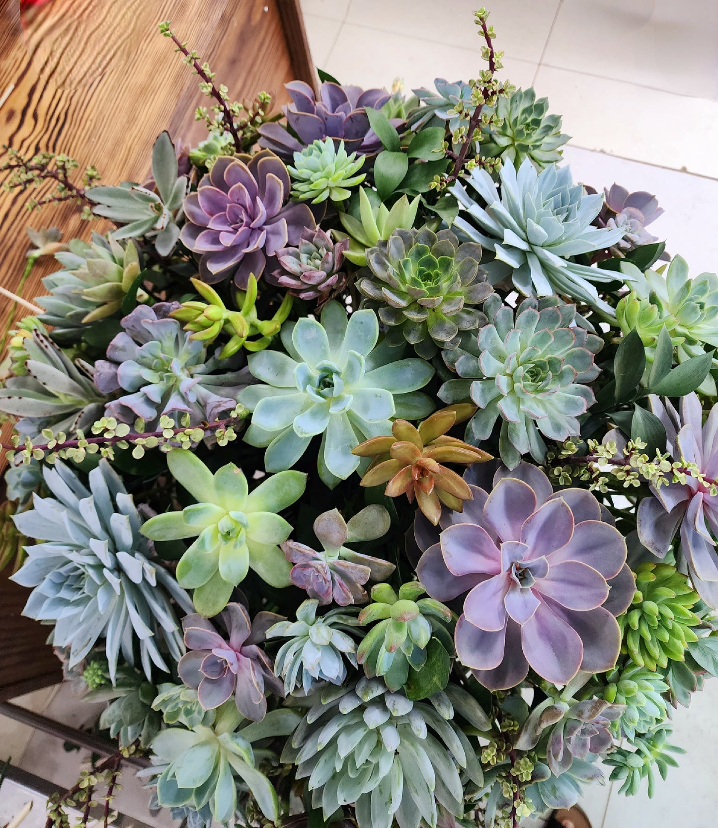 Large Succulent Arrangements Decorative Flower Pots