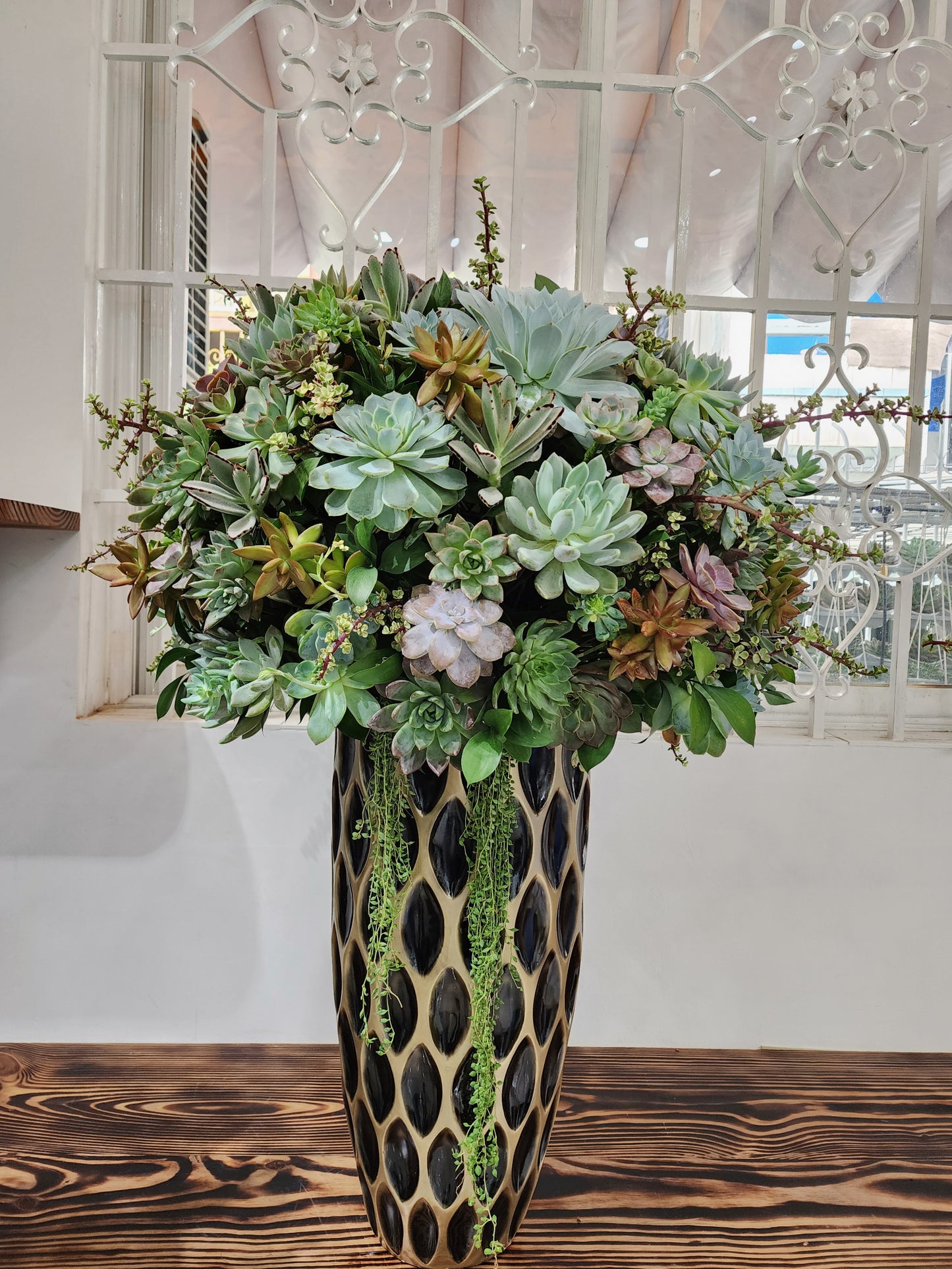 Large Succulent Arrangements Decorative Flower Pots