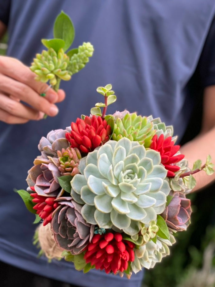 Succulent Bouquet Diy