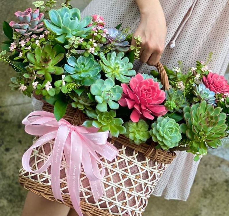 Succulent In Basket