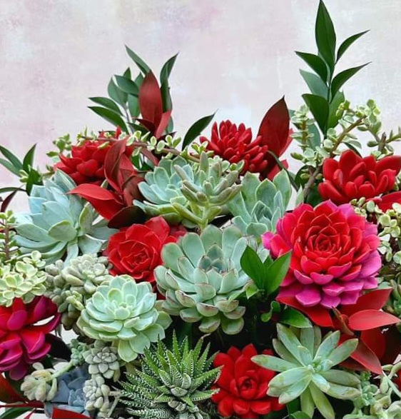 welcome succulent sign Succulent Welcome Sign Impressive Colorful Succulent Flower Sign
