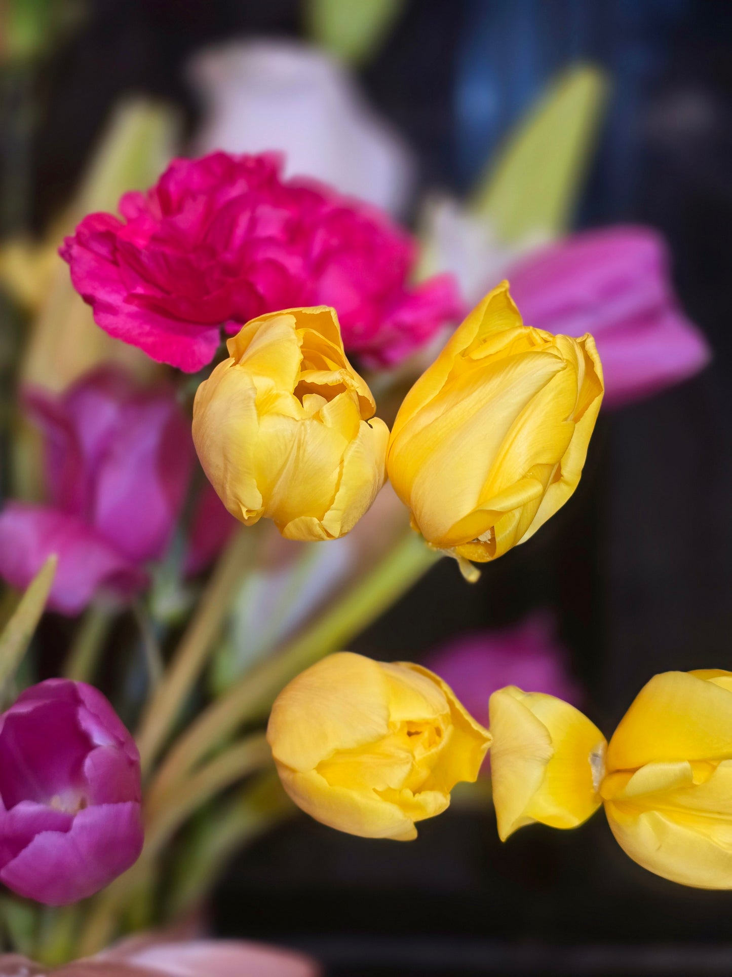 Fresh  Tulips Mix Flowers