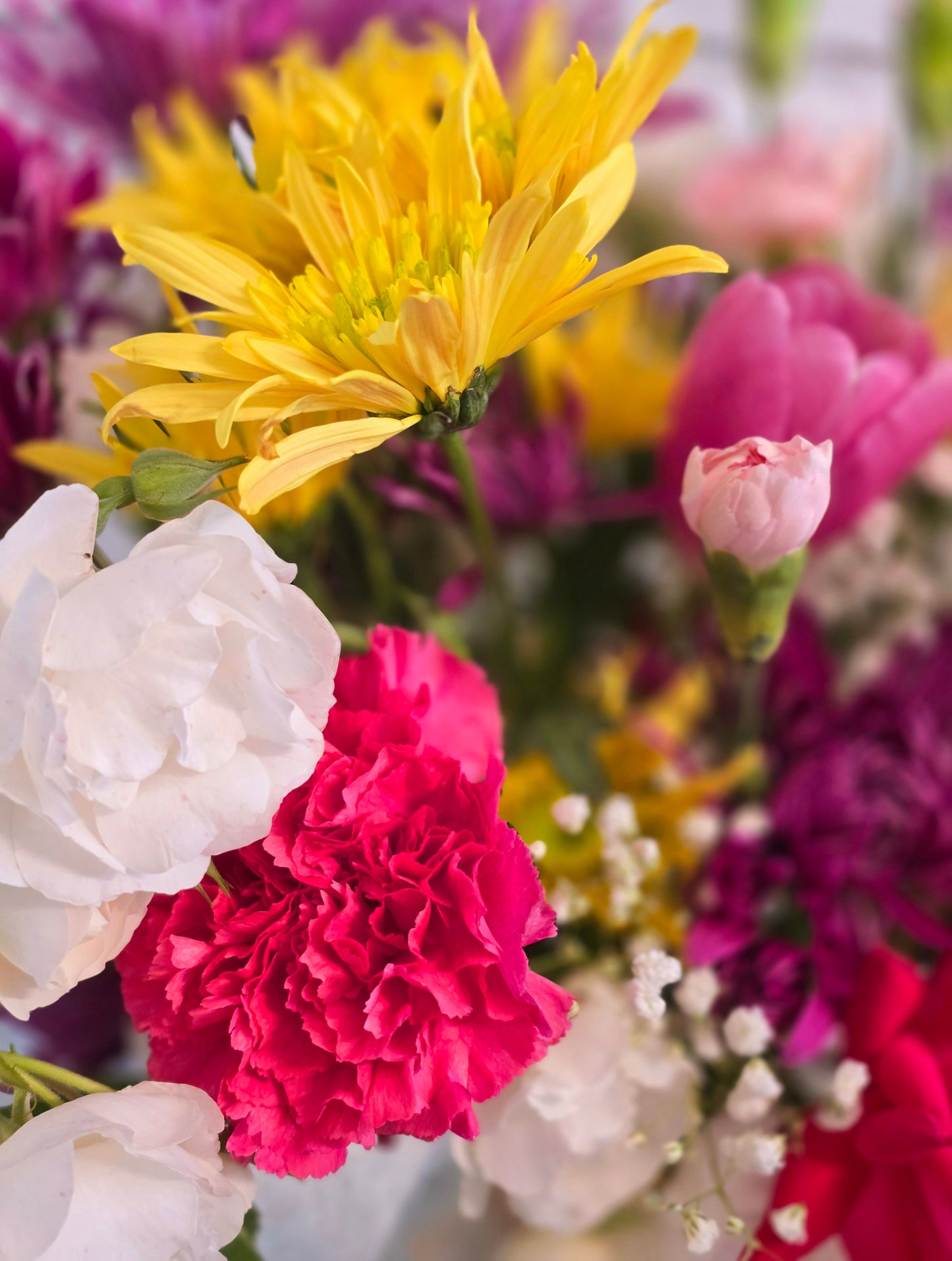 Cut Spring Flowers