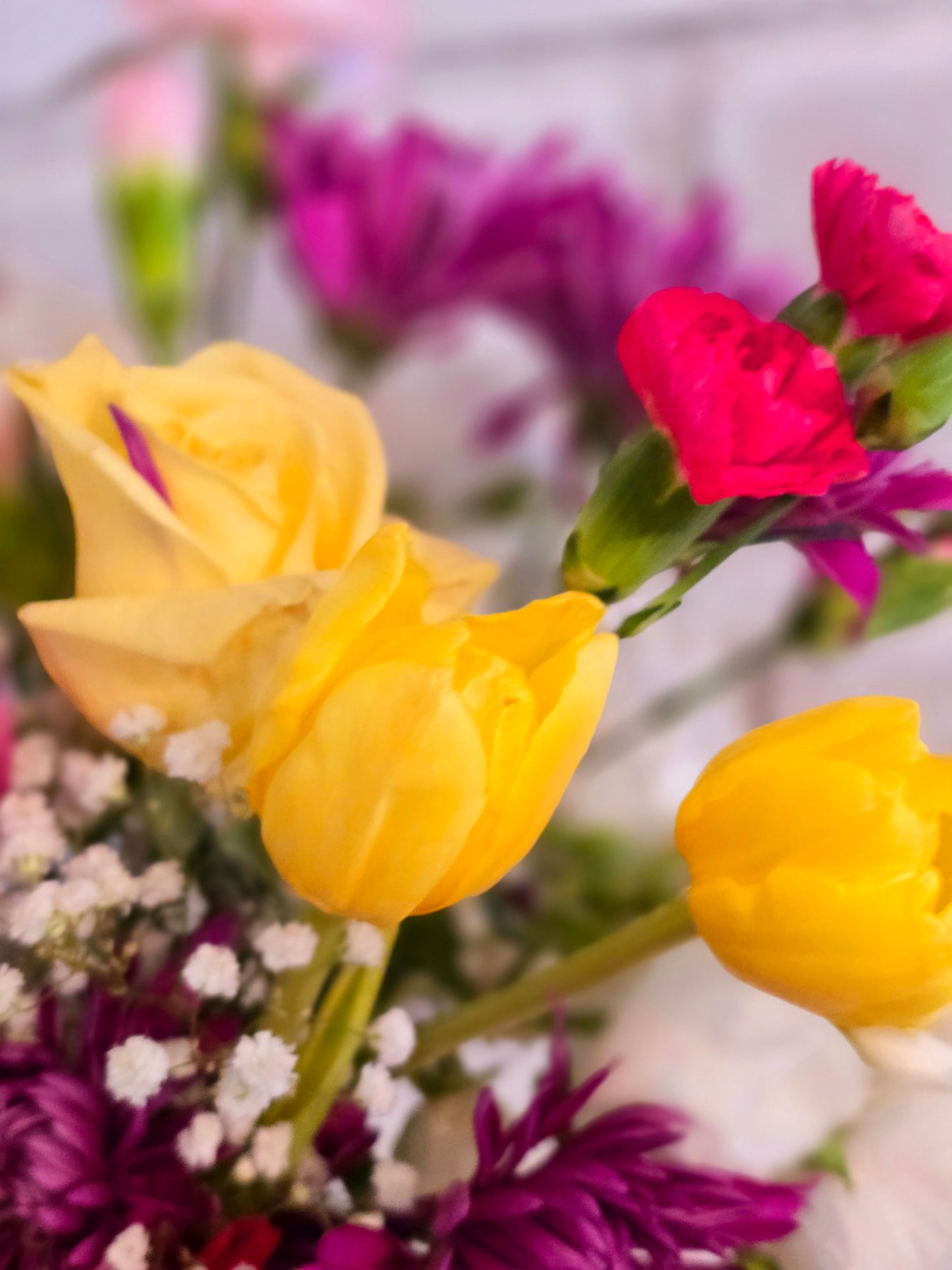 Cut Spring Flowers