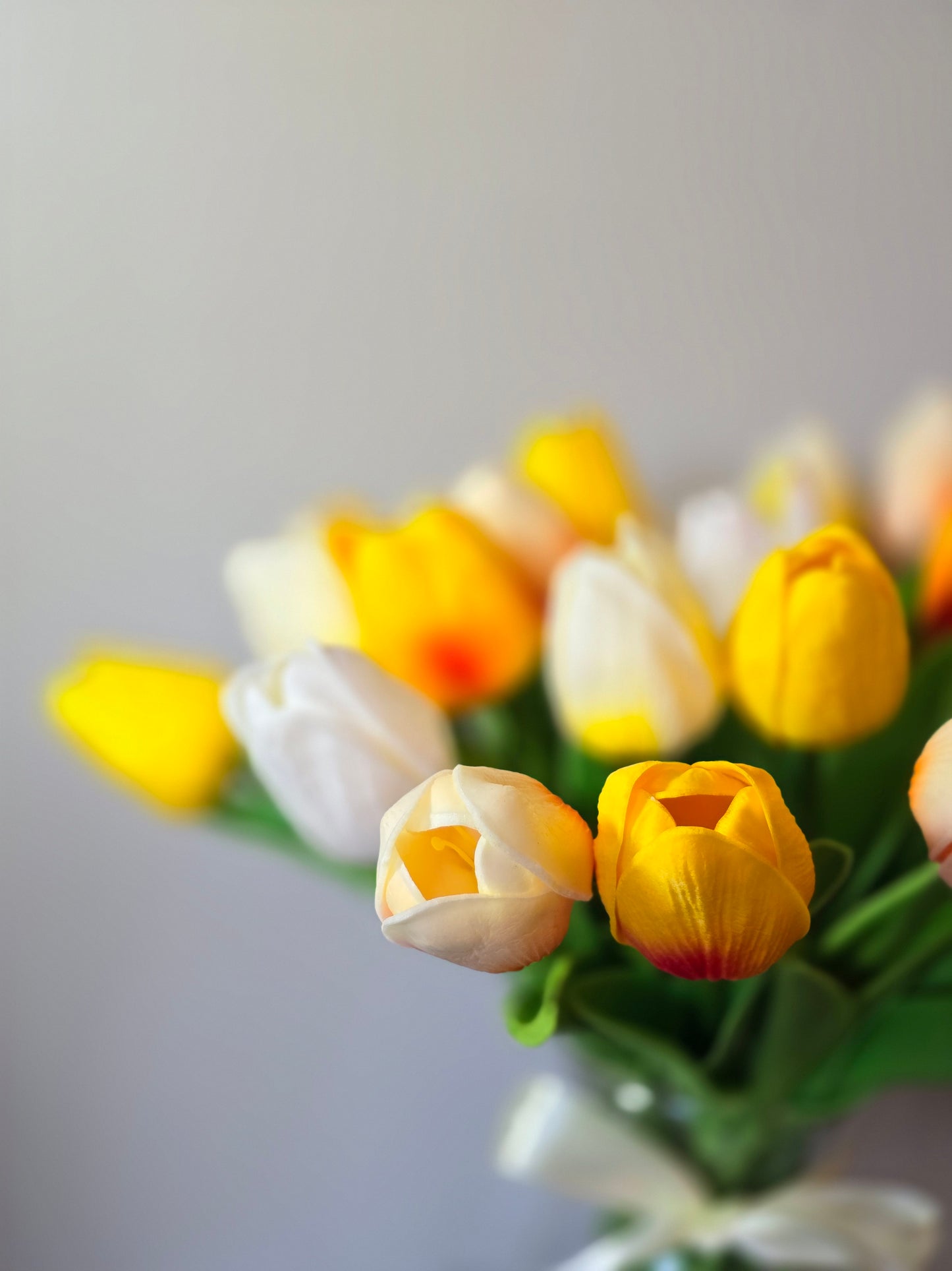 Tulips Flowers In Vase