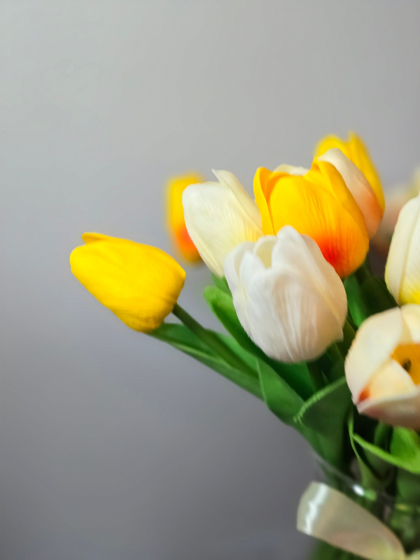 Tulips Flowers In Vase