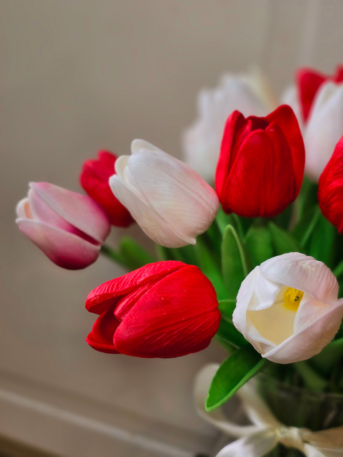 Red Tulips Flowers