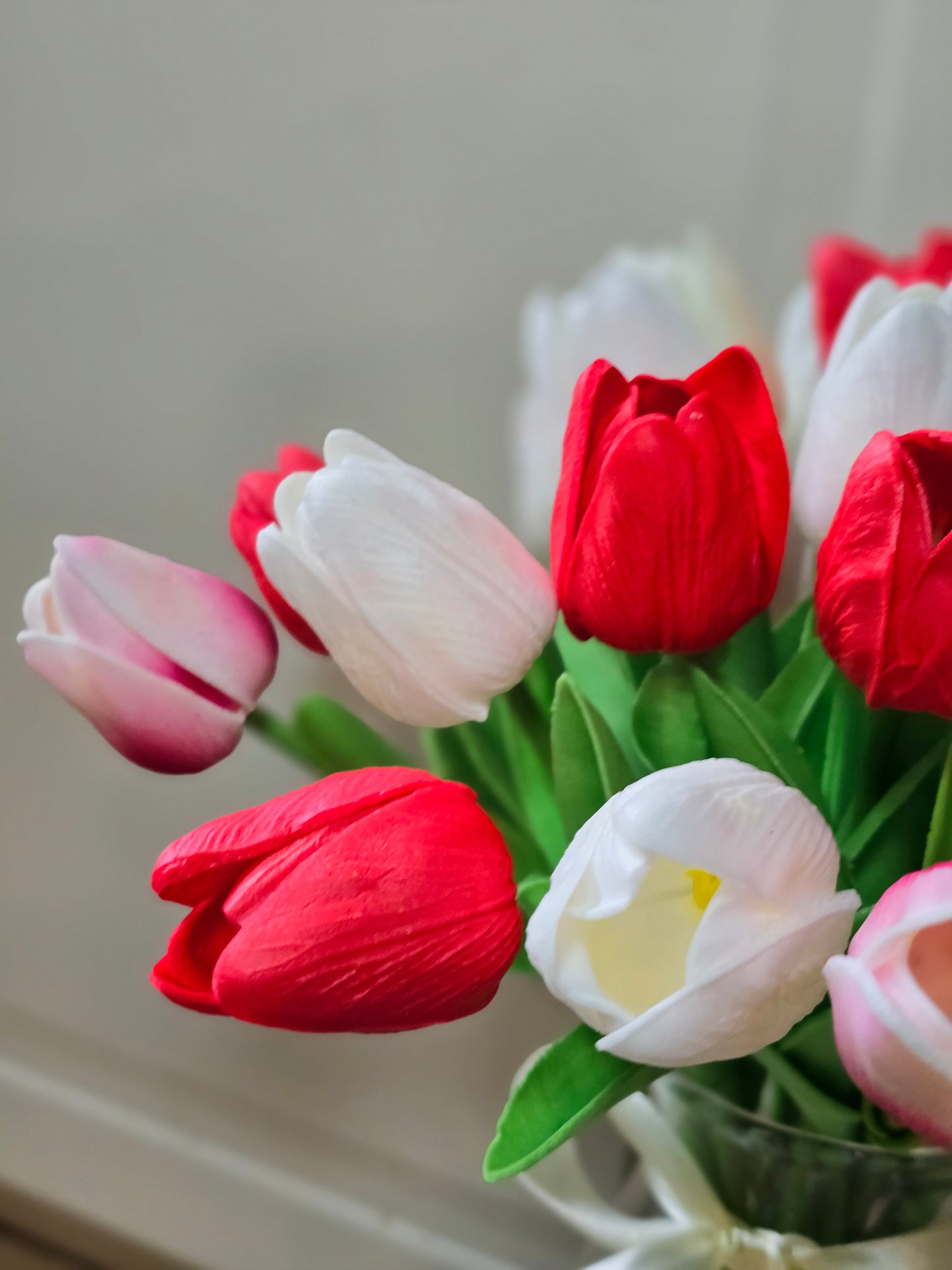 Red Tulips Flowers