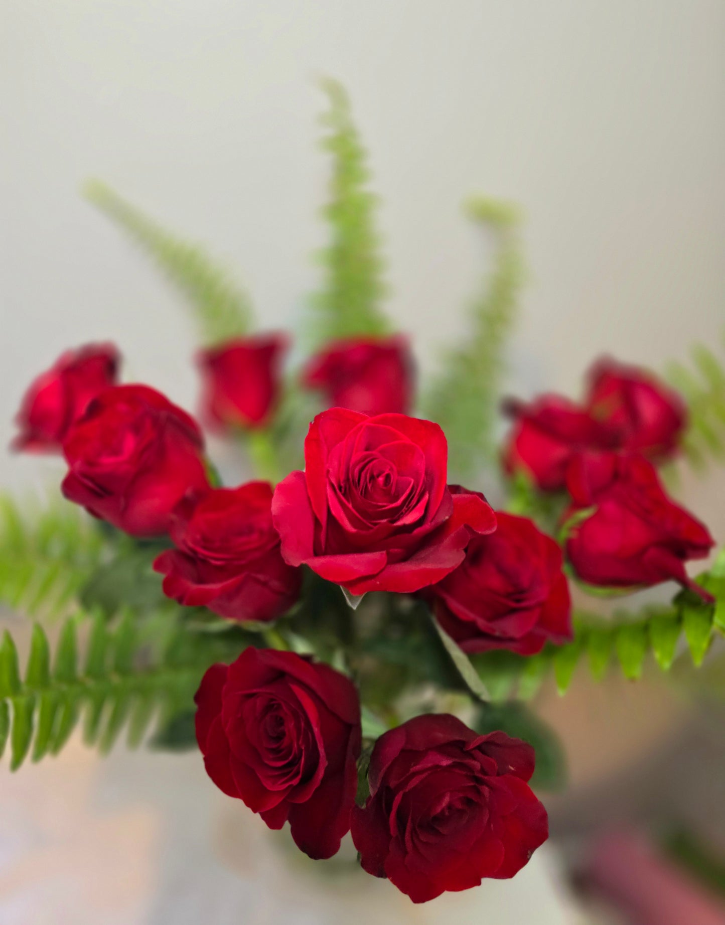 Cut Red Rose Flowers