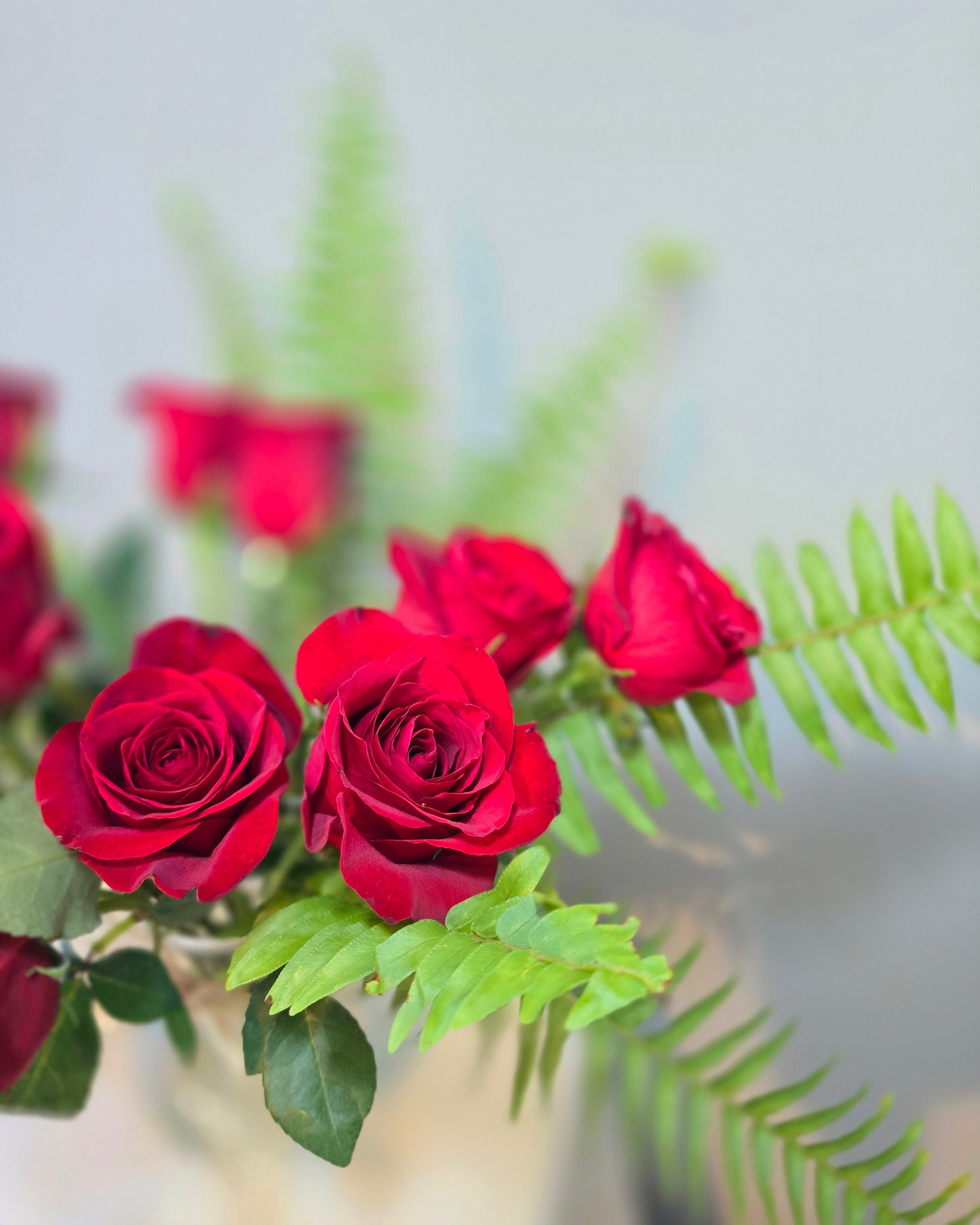 Cut Red Rose Flowers