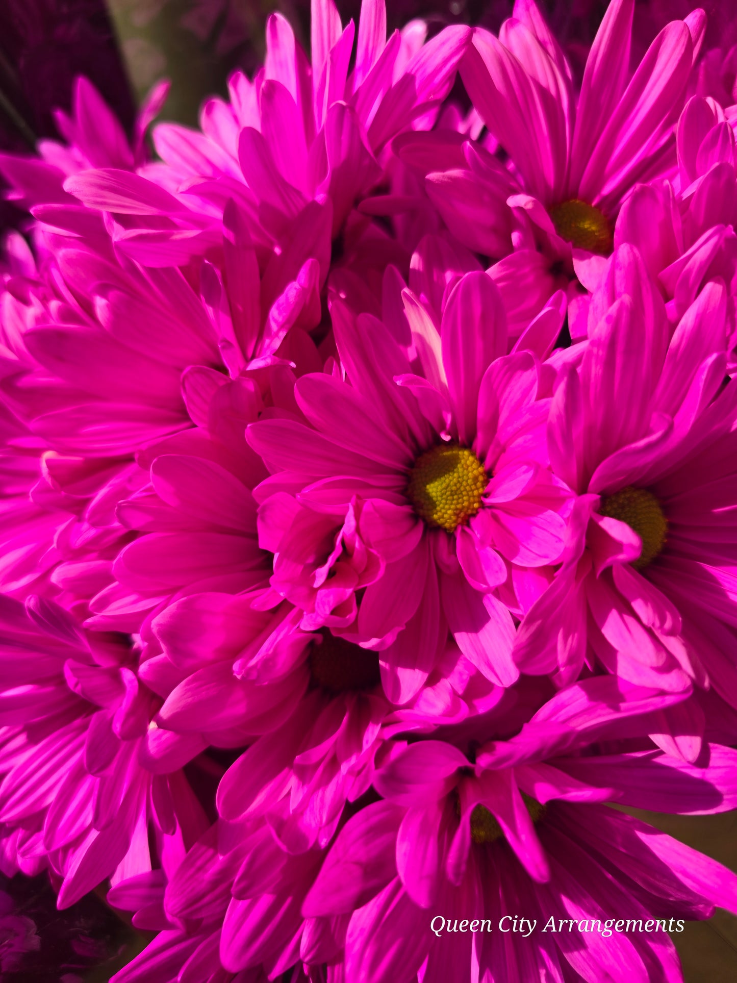 Flowers in Vase