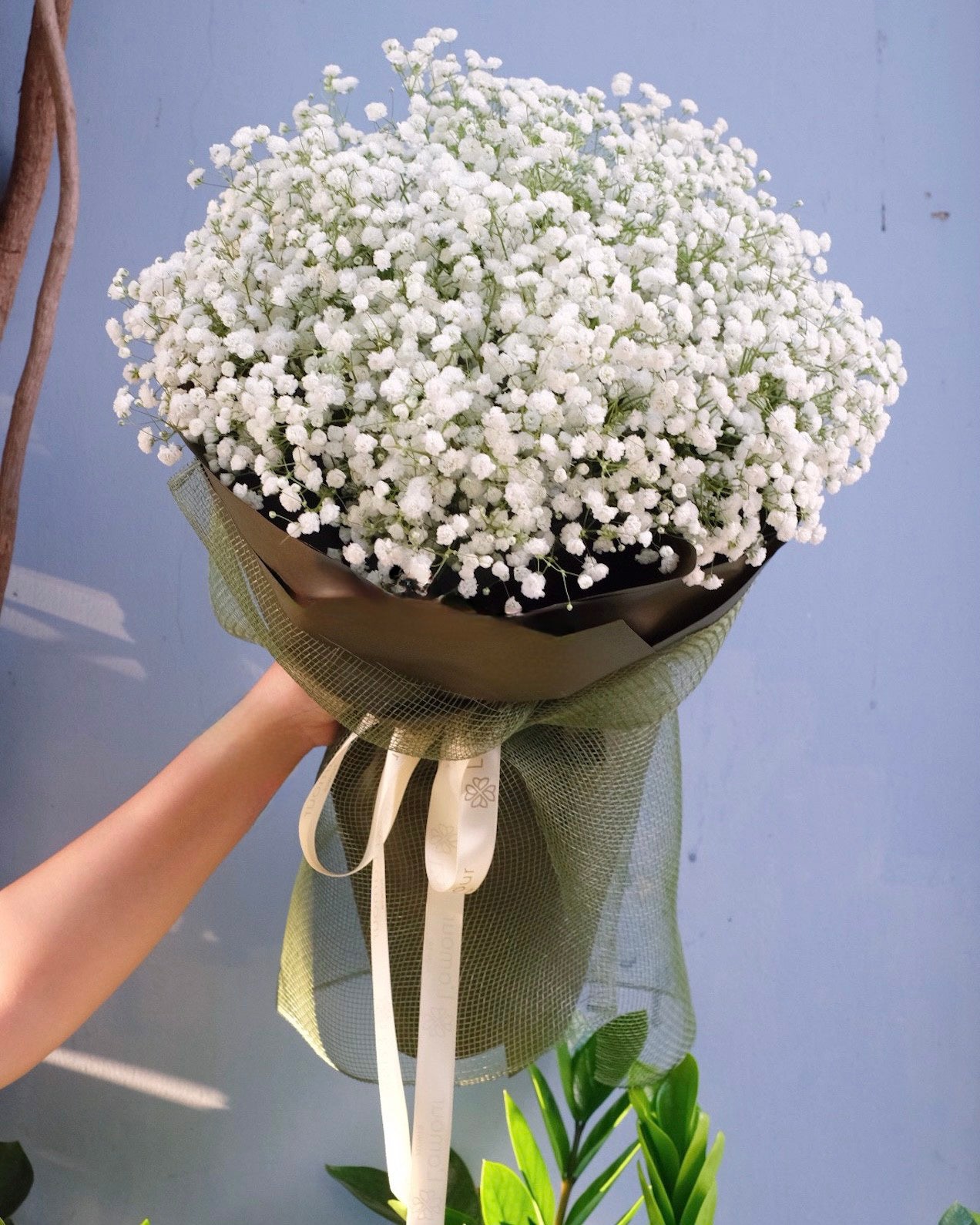 White Baby Breath Bouquet