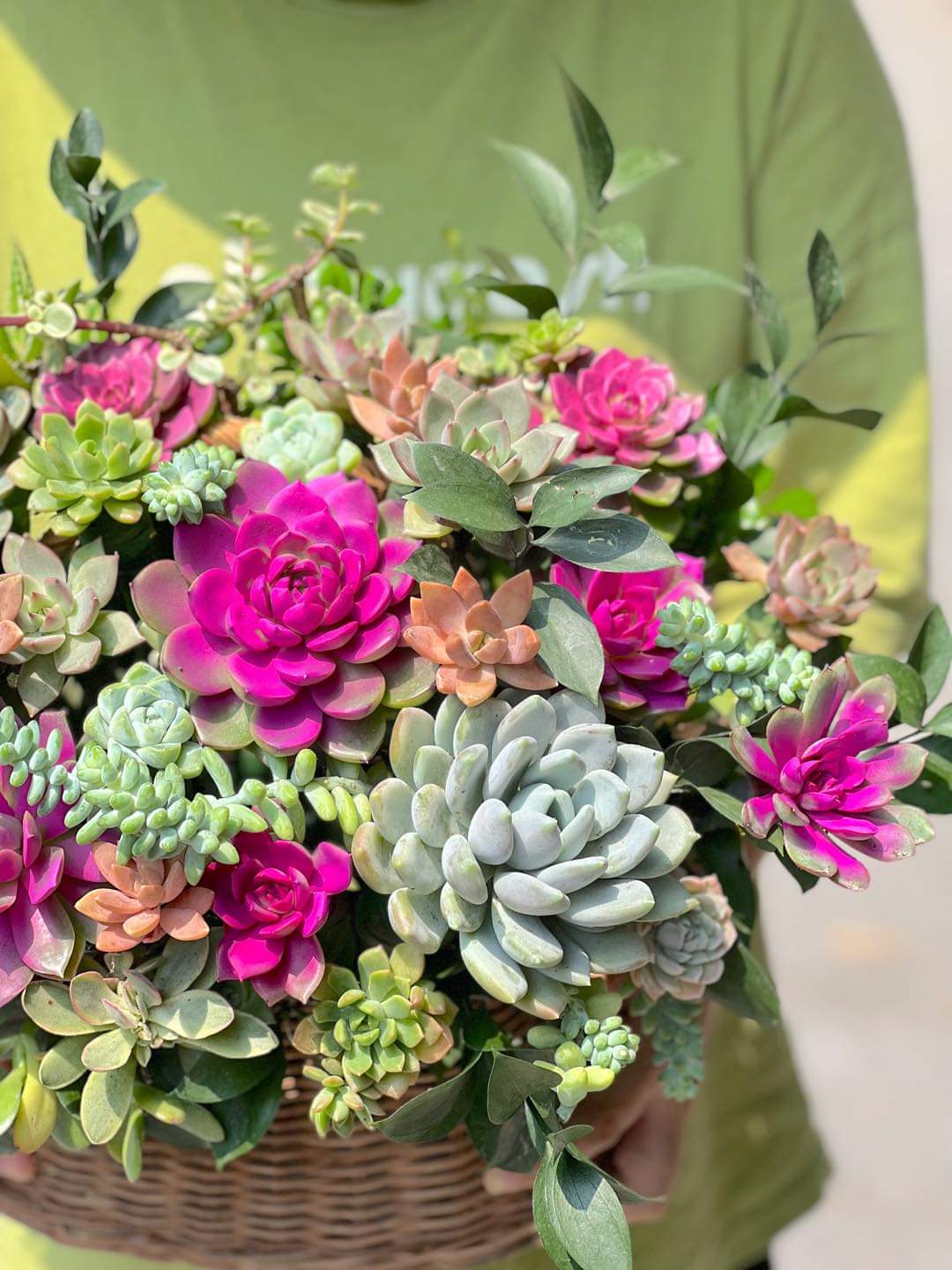 succulent plant gift baskets Succulent in Basket Succulent Plant Arrangements