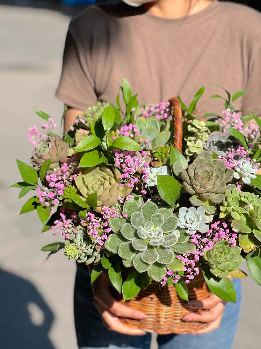 Succulent Plant Arrangements Sunny Succulent  Basket