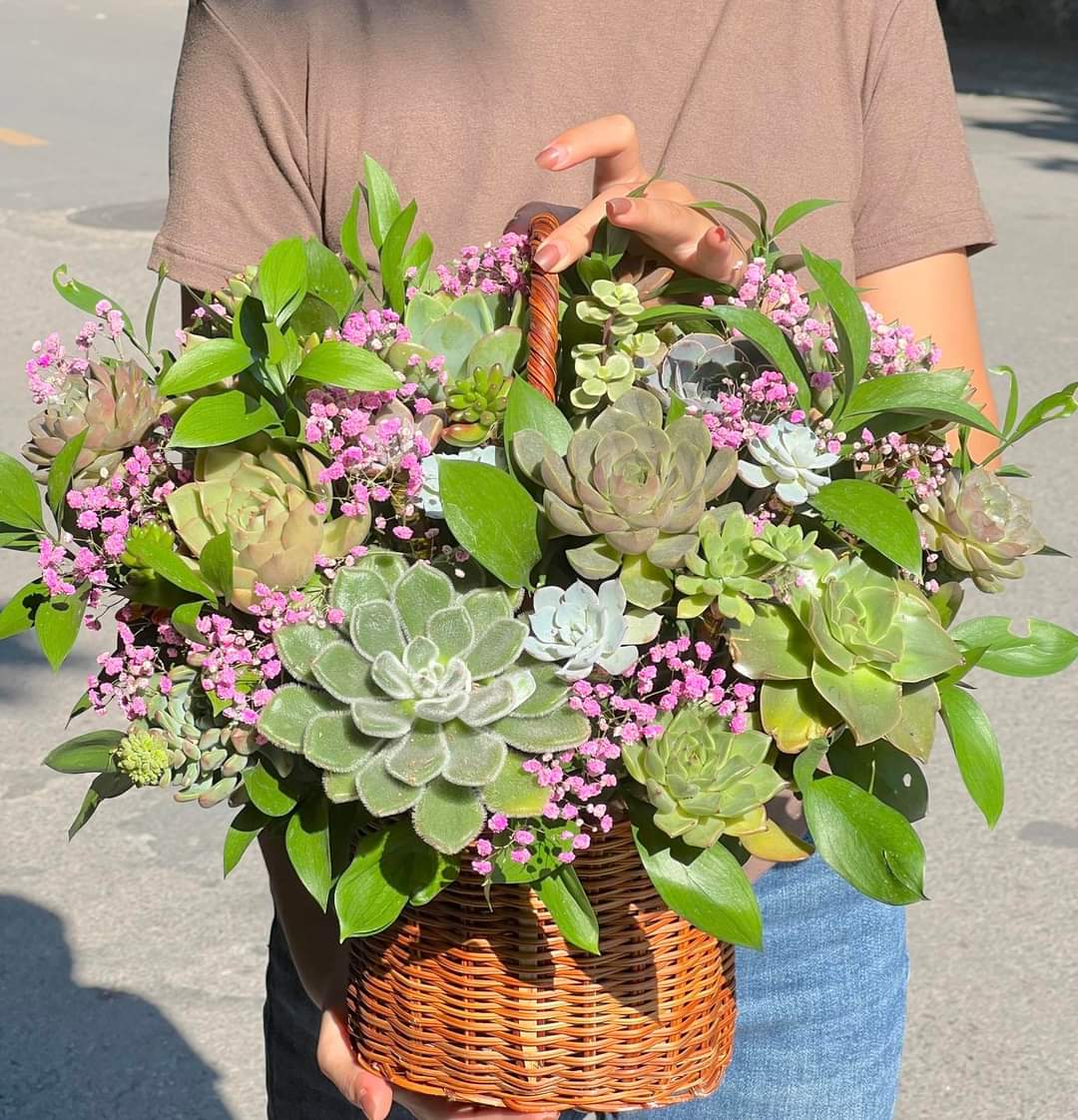 Succulent Plant Arrangements Sunny Succulent  Basket