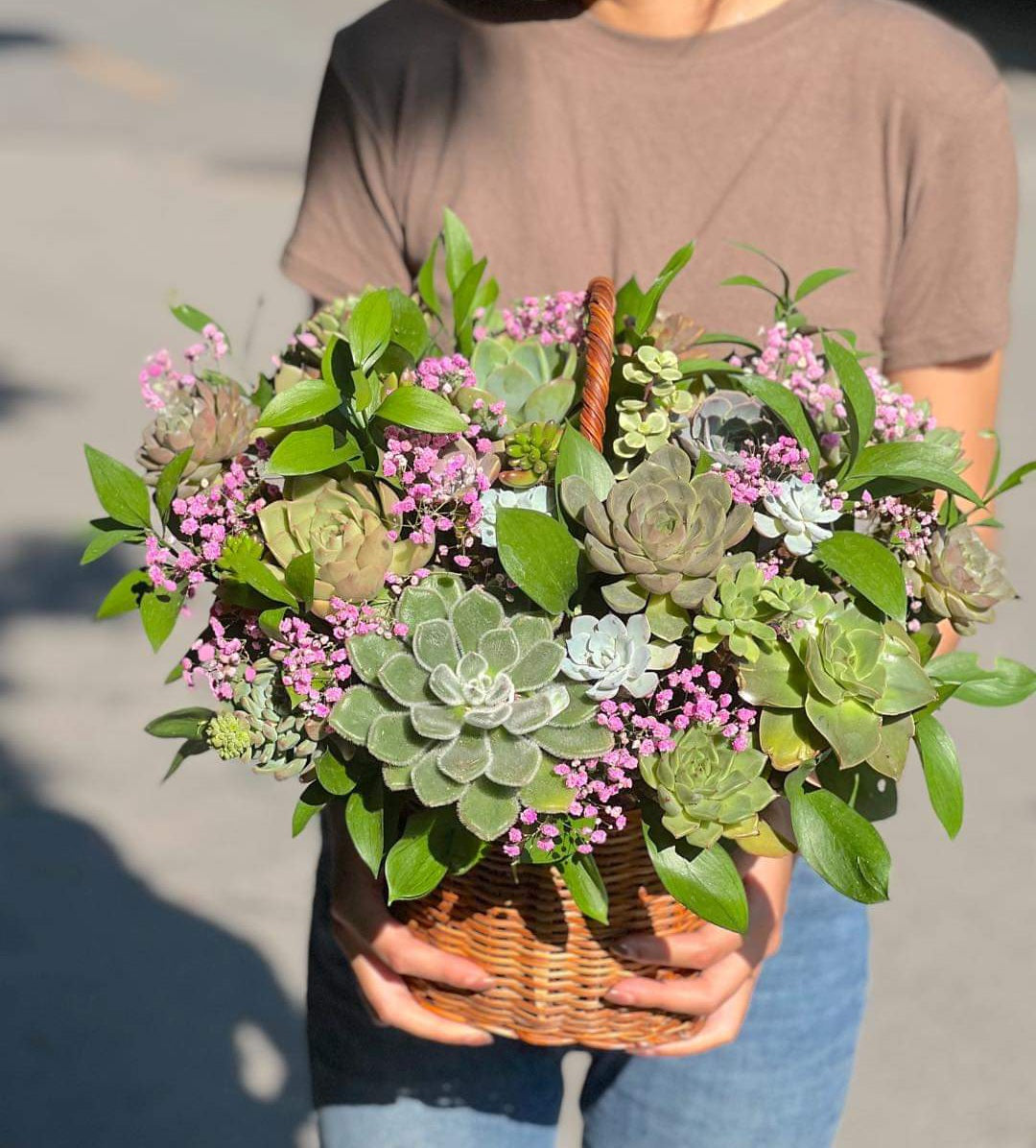 Succulent Plant Arrangements Sunny Succulent  Basket