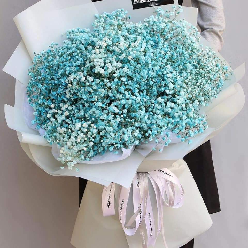 Baby Breath Flowers - Large Blue Baby Breath