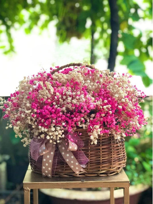 Baby's Breath In Basket