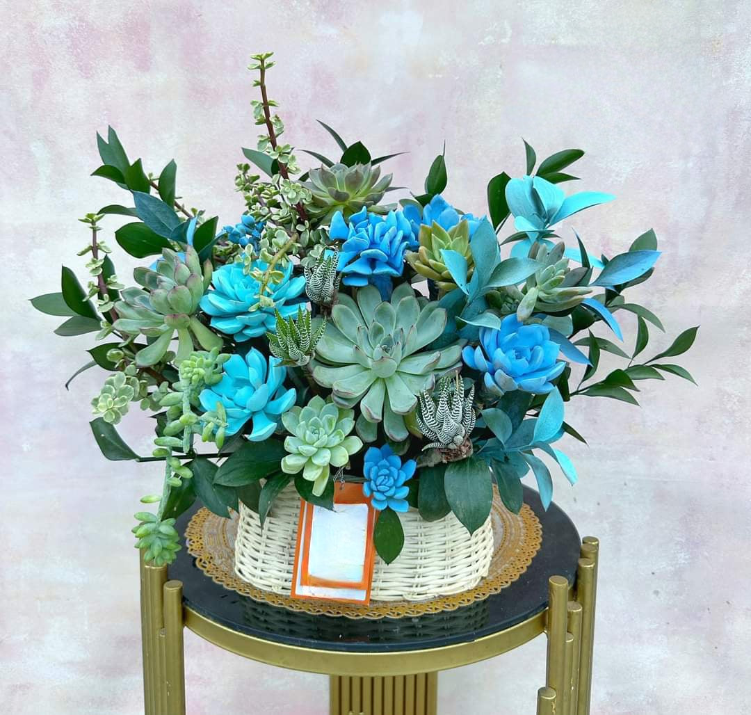 Hanging Basket For Succulents Blue Flower Basket