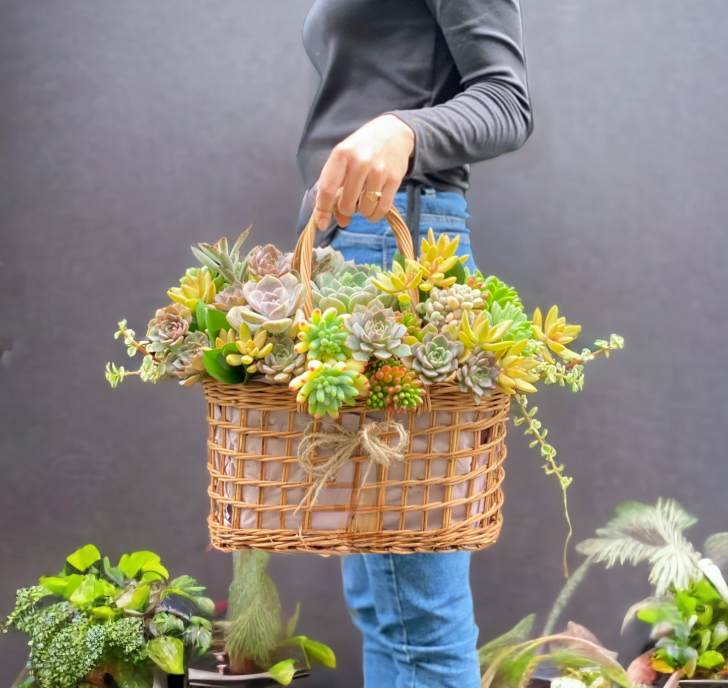 Live Succulent Arrangements