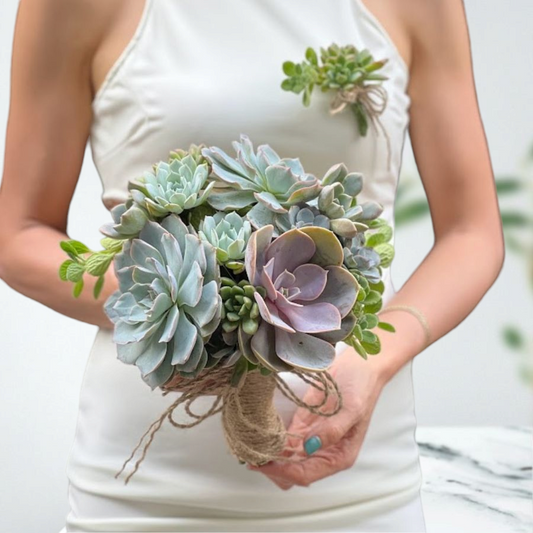 Succulent Bouquet