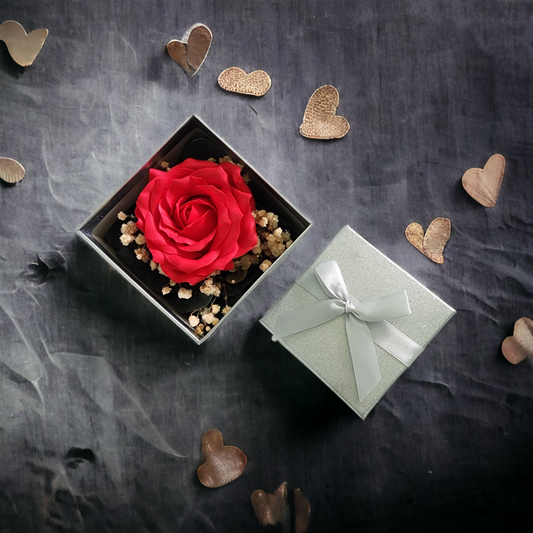 A Single Rose In Box