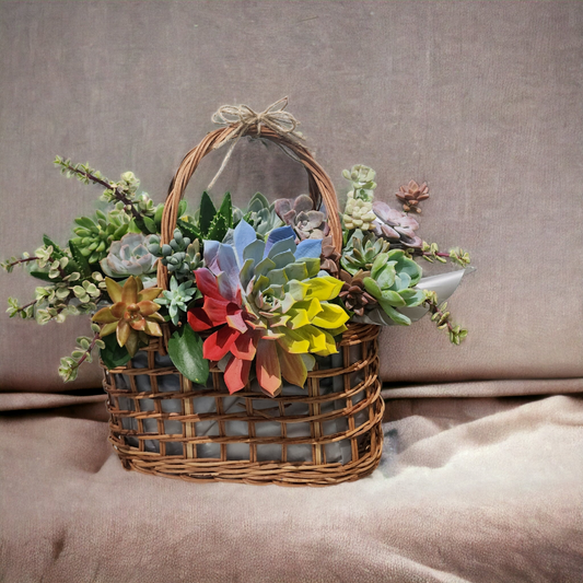 Succulents In A Basket Rainbow Succulent Basket