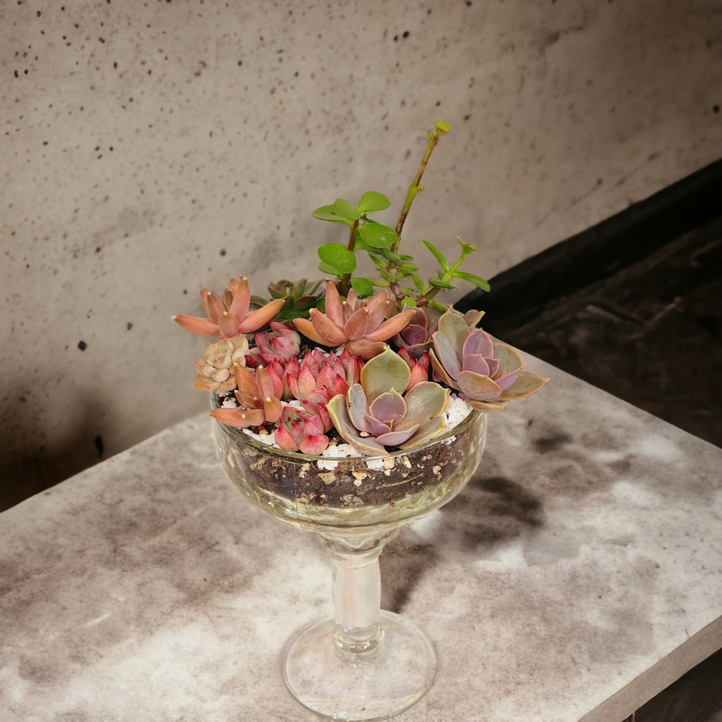 Succulent Arrangements in Glass Vase