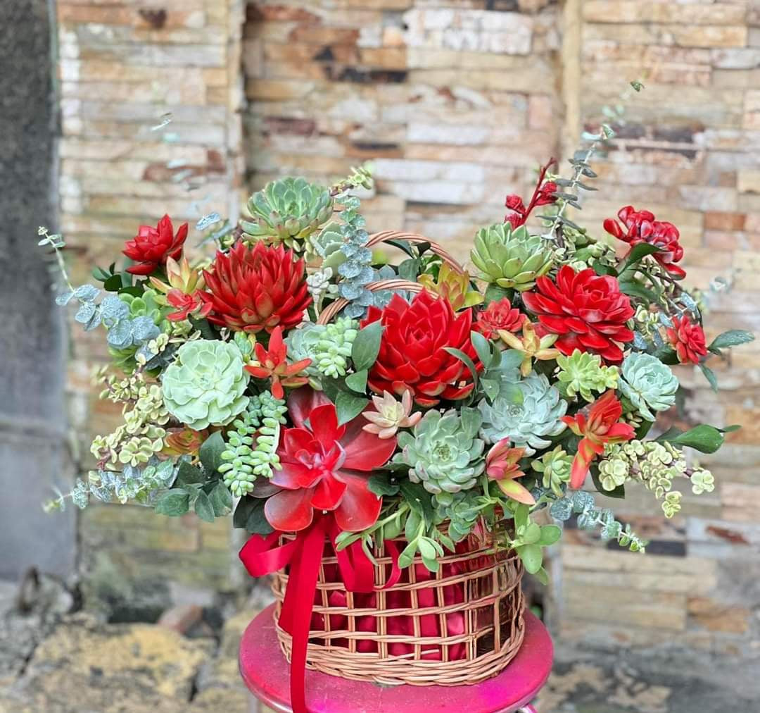 Succulents In A basket