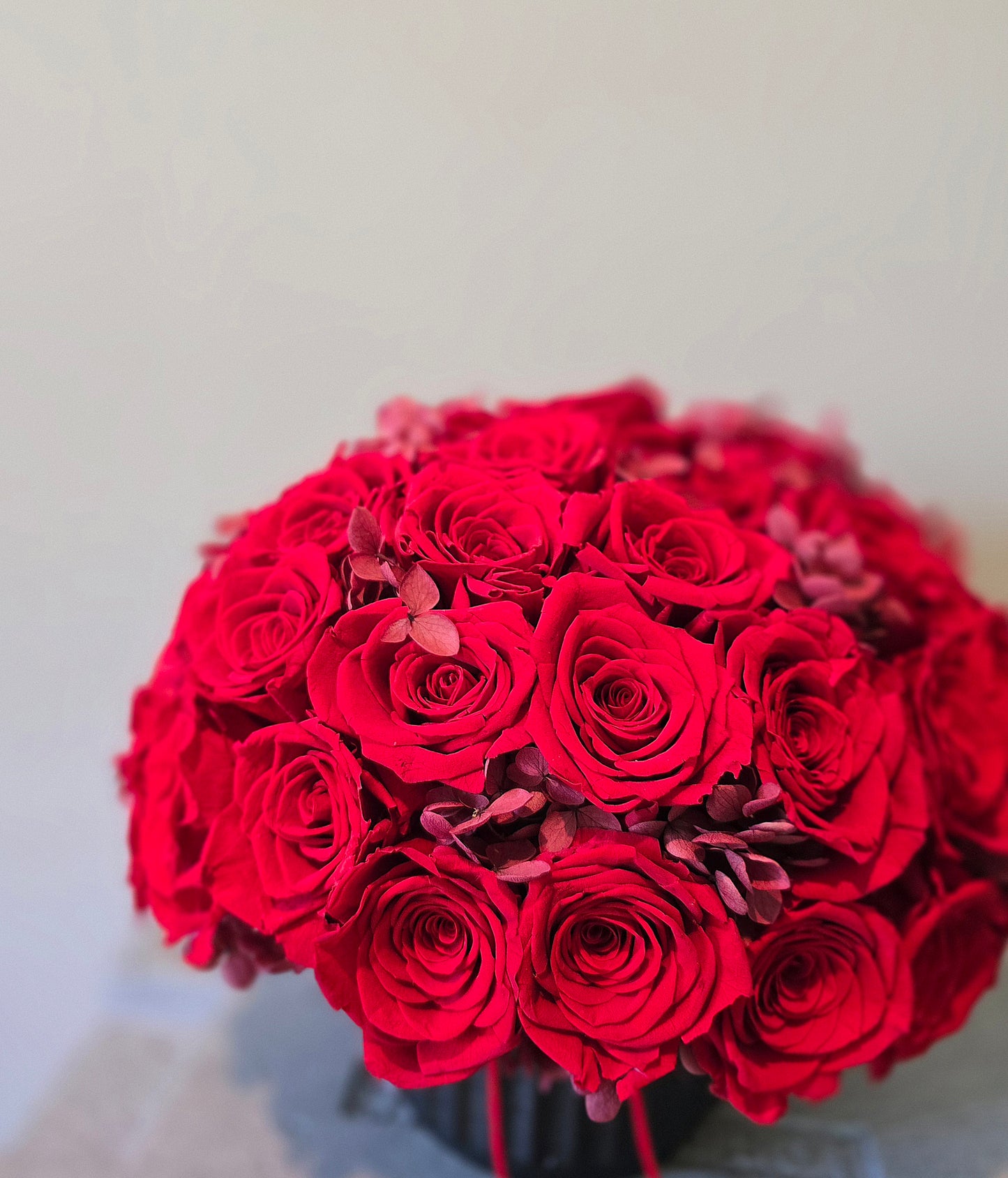 Red Roses