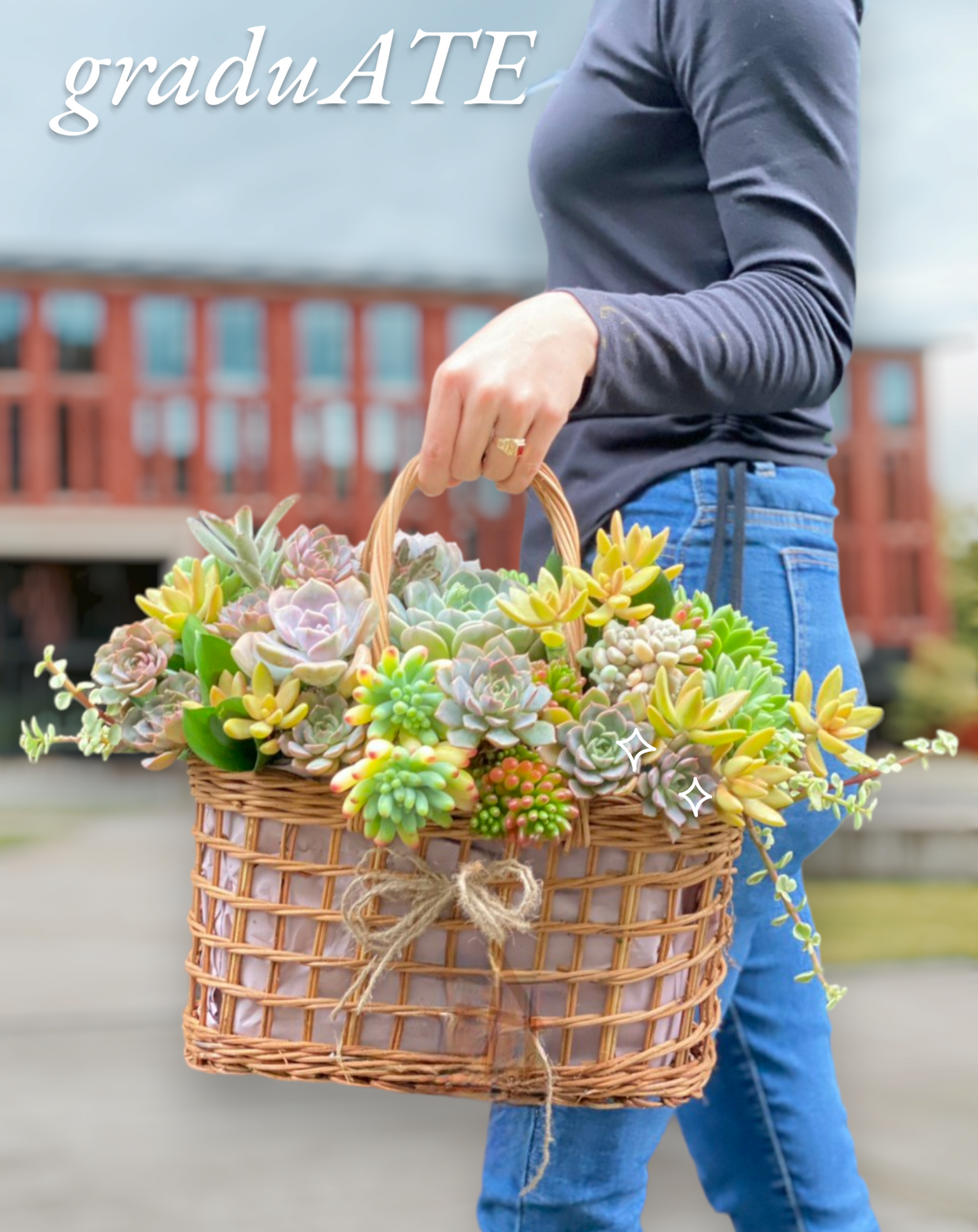 Live Succulent Arrangements