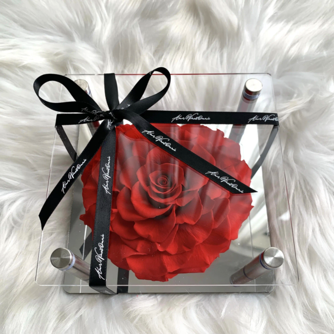Real Single Rose