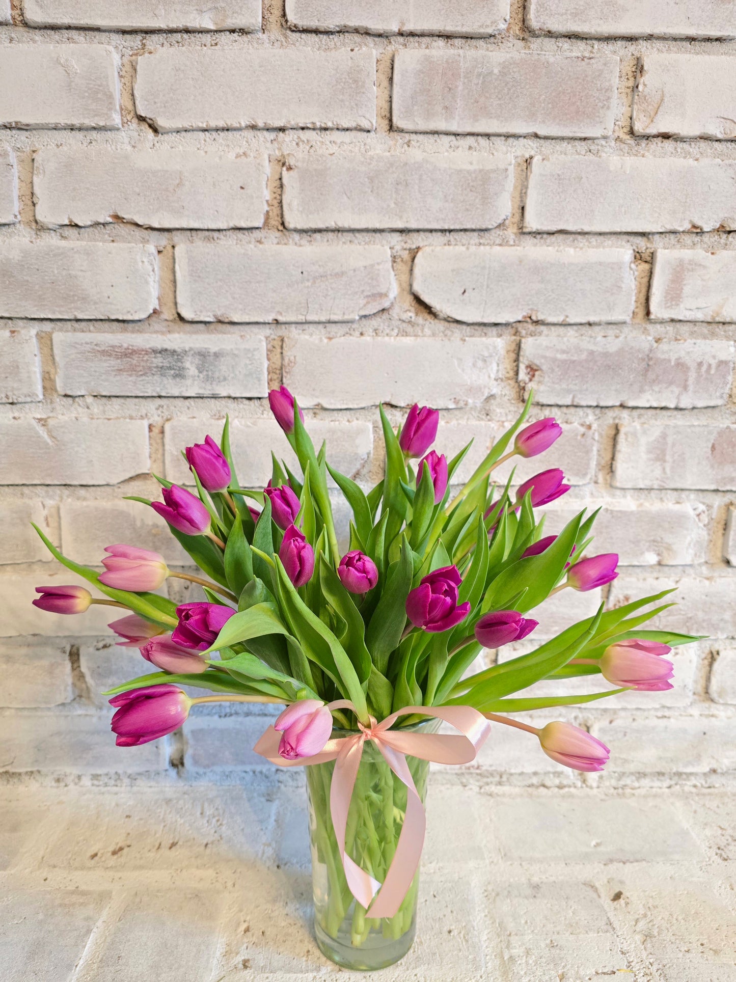 Fresh Tulips Flowers